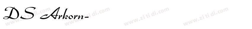 DS Arkorn字体转换